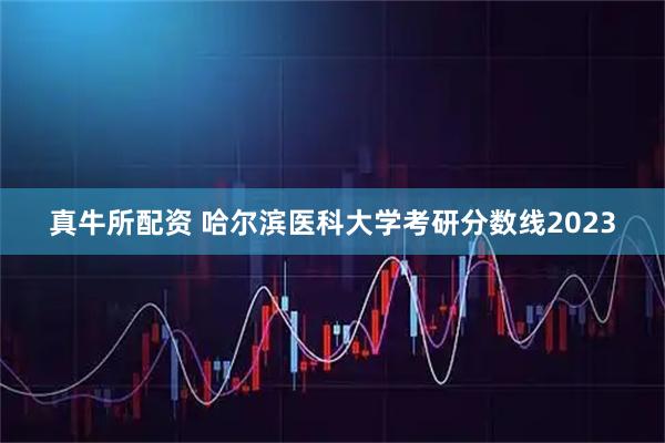真牛所配资 哈尔滨医科大学考研分数线2023